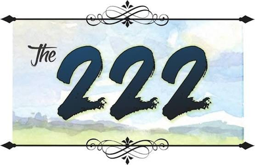 vn222b.com